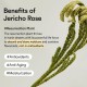 Abib Collagen Eye Patch - Jericho Rose Jelly 60pcs