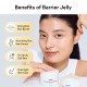 Abib Rice Probiotics - Overnight Mask Barrier Jelly 80ml