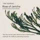 Abib Jericho Rose Bifida Serum - Firming Drop 50ml Abib Jericho Rose Bifida Serum - Firming Drop 50ml