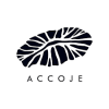 Accoje