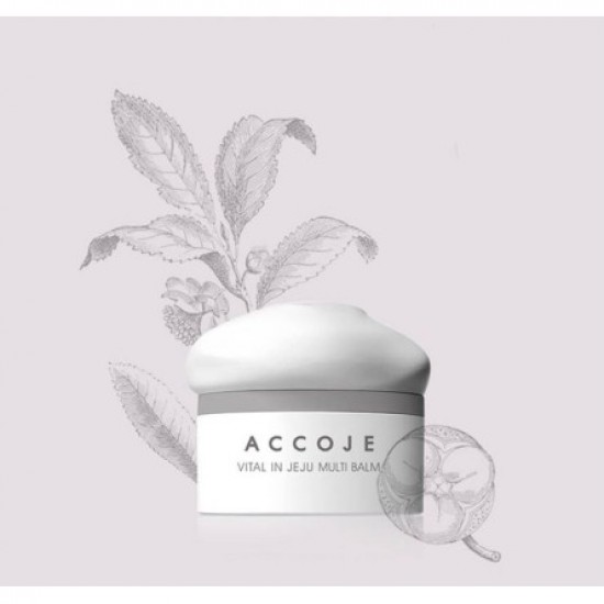 ACCOJE Vital in Jeju - Time Repair Cream 50ml ACCOJE Vital in Jeju - Time Repair Cream 50ml