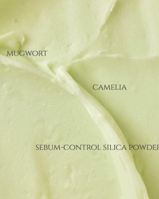 BEAUTY OF JOSEON - Matte Sun Stick Mugwort + Camelia SPF50 PA++++ 18g