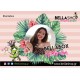 BELLABOX By MarilliasChoice