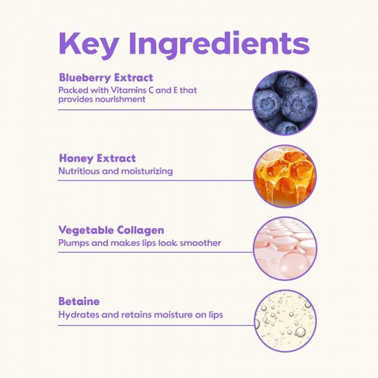 FRUDIA - Blueberry Hydrating Honey Lip Balm 10ml