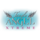 TANGLE ANGEL Xtreme Brush Black/Turquoise TANGLE ANGEL Xtreme Brush Black/Turquoise